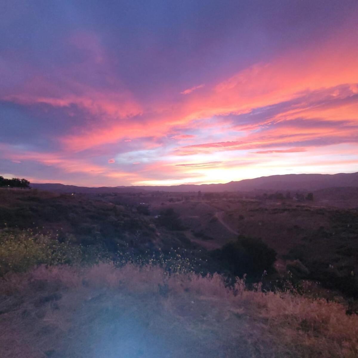 Apartamento Alpaca Rustic Ranch-Peaceful & Breathtaking Views Santa Clarita Exterior foto