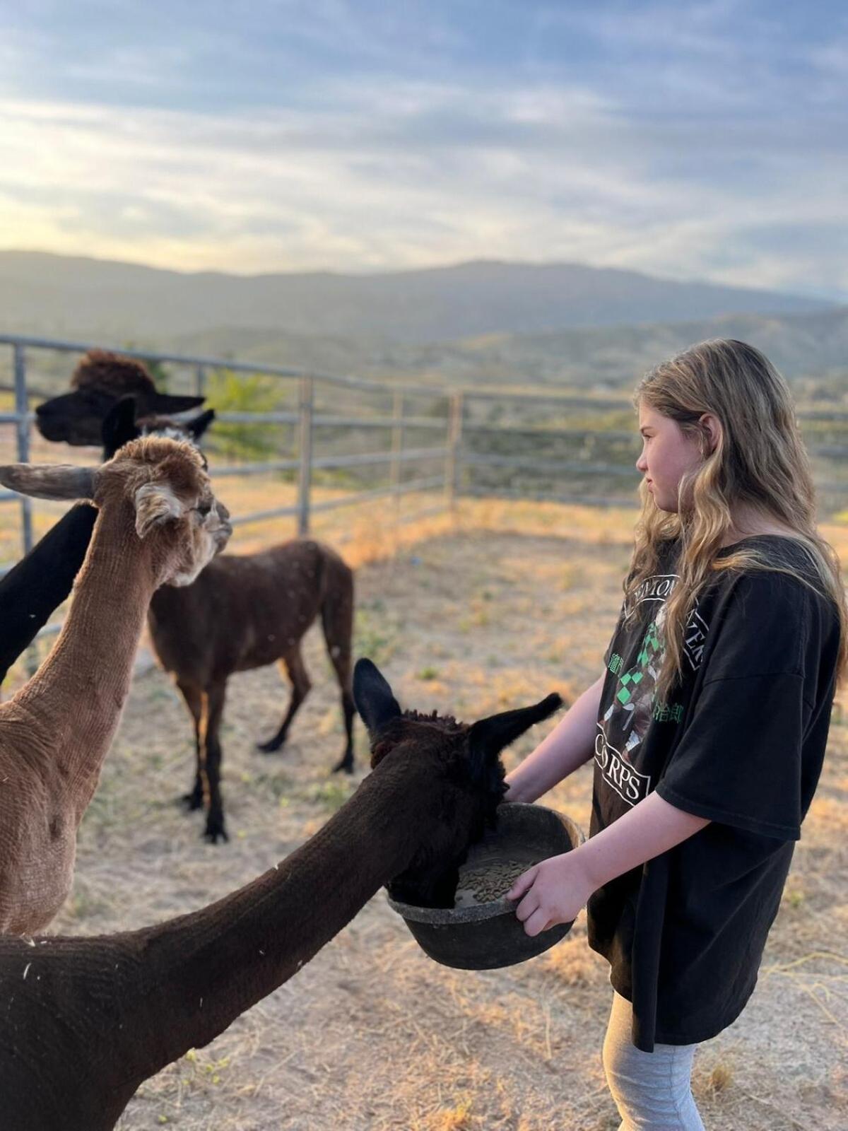Apartamento Alpaca Rustic Ranch-Peaceful & Breathtaking Views Santa Clarita Exterior foto