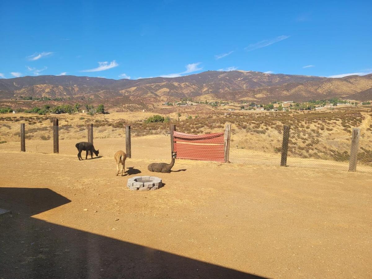 Apartamento Alpaca Rustic Ranch-Peaceful & Breathtaking Views Santa Clarita Exterior foto