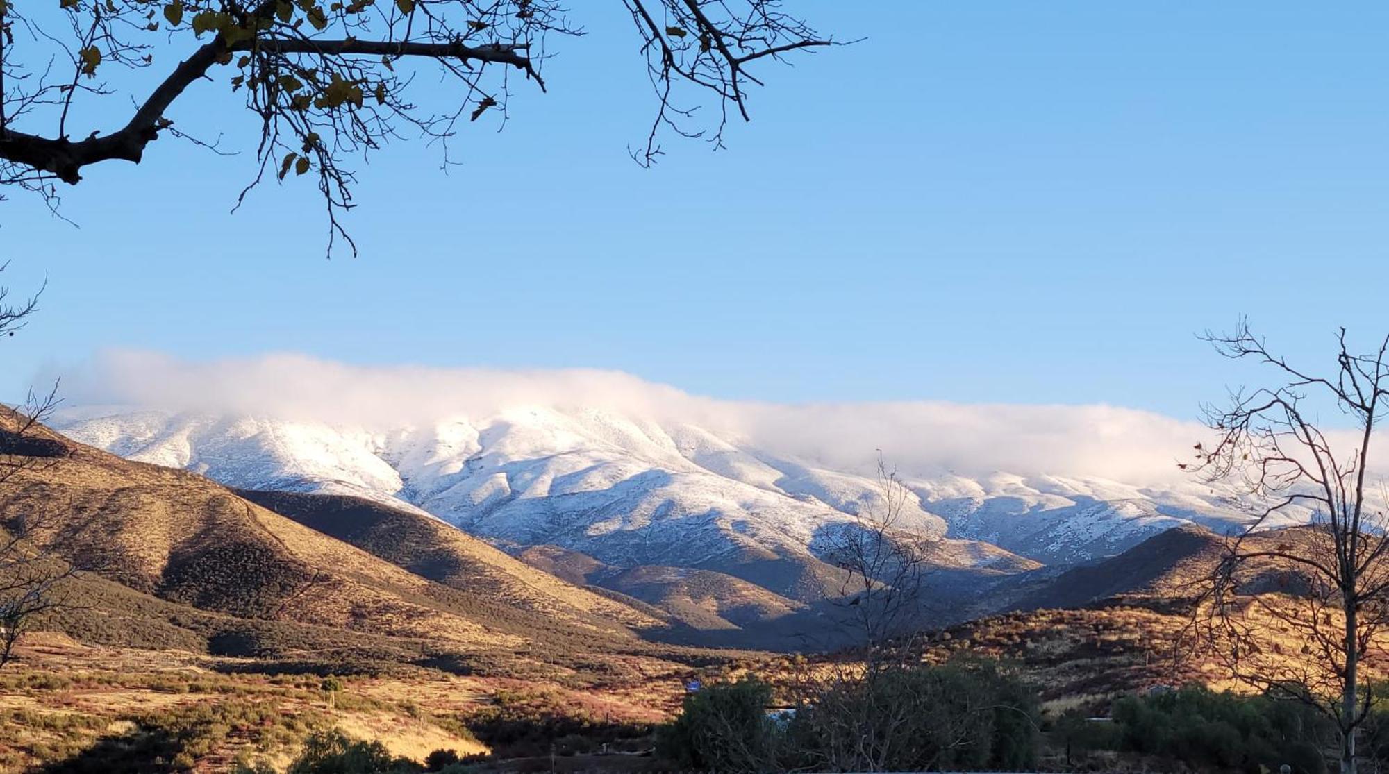 Apartamento Alpaca Rustic Ranch-Peaceful & Breathtaking Views Santa Clarita Exterior foto